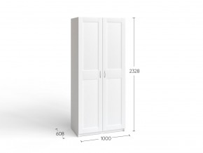2.06.01.050.4 МАКС шкаф 2 двери 100х61х233 серый RU в Нягани - nyagan.ok-mebel.com | фото 4