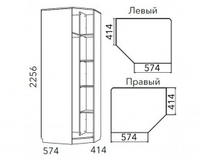 Детская Фанк Шкаф угловой Левый/Правый НМ 013.04-02 М в Нягани - nyagan.ok-mebel.com | фото 3