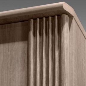 ДИАНА Д11 Шкаф для одежды в Нягани - nyagan.ok-mebel.com | фото 7
