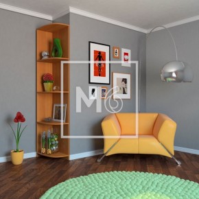 Дополнения к шкафам МФ М6 в Нягани - nyagan.ok-mebel.com | фото 12