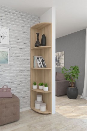 Дополнения к шкафам МФ М6 в Нягани - nyagan.ok-mebel.com | фото 13