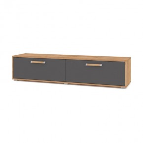 ФЛОРИДА Ф31 Тумба ТВ (дуб золотой/графит) в Нягани - nyagan.ok-mebel.com | фото