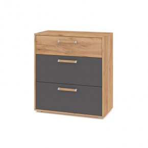 ФЛОРИДА Ф41 Комод (дуб золотой/графит) в Нягани - nyagan.ok-mebel.com | фото