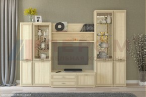 Гостиная Карина Композиция 24 (Ясень Асахи) в Нягани - nyagan.ok-mebel.com | фото