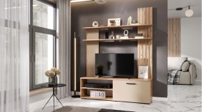 КАРОЛИНА Гостиная (дуб вотан/кашемир) в Нягани - nyagan.ok-mebel.com | фото