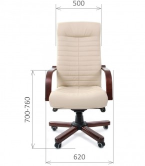 Кресло для руководителя CHAIRMAN 480 N WD (Экокожа) в Нягани - nyagan.ok-mebel.com | фото 6