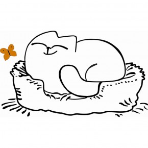 Кровать двухуровневая Кот № 900.1 ЛЕВАЯ (туя светлая/белый) в Нягани - nyagan.ok-mebel.com | фото 2