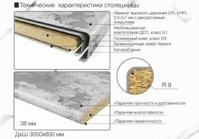 Кухонный фартук со столешницей (А-010) в едином стиле (3050 мм) в Нягани - nyagan.ok-mebel.com | фото 7