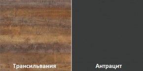 Кухонный гарнитур угловой Трансильвания 2600х1600 мм (Стол. 26 мм) в Нягани - nyagan.ok-mebel.com | фото 3