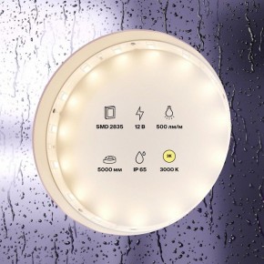 Лента светодиодная Maytoni Led strip 10105 в Нягани - nyagan.ok-mebel.com | фото 2