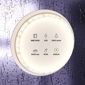Лента светодиодная Maytoni Led strip 10112 в Нягани - nyagan.ok-mebel.com | фото 2