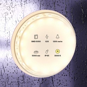 Лента светодиодная Maytoni Led strip 10131 в Нягани - nyagan.ok-mebel.com | фото 2