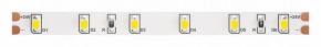 Лента светодиодная Maytoni Led strip 10140 в Нягани - nyagan.ok-mebel.com | фото
