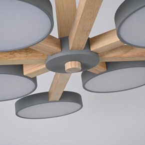 Люстра на штанге Imperiumloft TURNA Gray TURNA-B01 в Нягани - nyagan.ok-mebel.com | фото 7