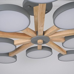 Люстра на штанге Imperiumloft TURNA Gray TURNA-B01 в Нягани - nyagan.ok-mebel.com | фото 10
