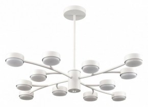 Люстра на штанге Lumion TORINA 8265/12 в Нягани - nyagan.ok-mebel.com | фото