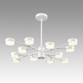 Люстра на штанге Lumion TORINA 8265/12 в Нягани - nyagan.ok-mebel.com | фото 3