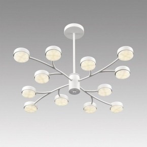 Люстра на штанге Lumion TORINA 8265/12 в Нягани - nyagan.ok-mebel.com | фото 5