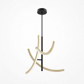 Люстра на штанге Maytoni Wabi MOD428PL-L27BK в Нягани - nyagan.ok-mebel.com | фото 5