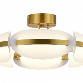 Люстра на штанге ST-Luce ETOILE SL1304.302.45 в Нягани - nyagan.ok-mebel.com | фото 4