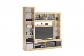 МАКСИ Мини-стенка дуб сонома/белое дерево в Нягани - nyagan.ok-mebel.com | фото 1
