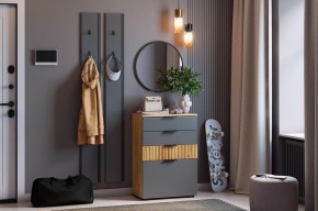 МЕБЕЛЬСОН К21 Прихожая  (графит) в Нягани - nyagan.ok-mebel.com | фото