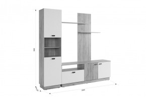 МОДИ Гостиная (модульная) белое дерево в Нягани - nyagan.ok-mebel.com | фото 2