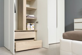 Муссон Шкаф двухстворчатый 13.198 в Нягани - nyagan.ok-mebel.com | фото 3