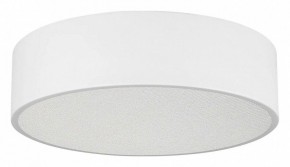 Накладной светильник Arlight TOR PILL 022103(3) в Нягани - nyagan.ok-mebel.com | фото