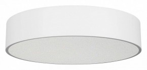 Накладной светильник Arlight TOR PILL 022108(3) в Нягани - nyagan.ok-mebel.com | фото