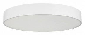 Накладной светильник Arlight TOR PILL 022132(4) в Нягани - nyagan.ok-mebel.com | фото