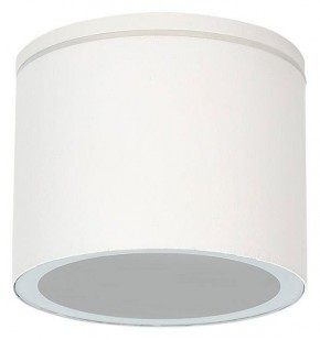 Накладной светильник Arte Lamp Piautos A1913PF-1WH в Нягани - nyagan.ok-mebel.com | фото