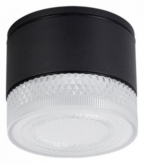 Накладной светильник Arte Lamp Piautos A1926PF-1BK в Нягани - nyagan.ok-mebel.com | фото