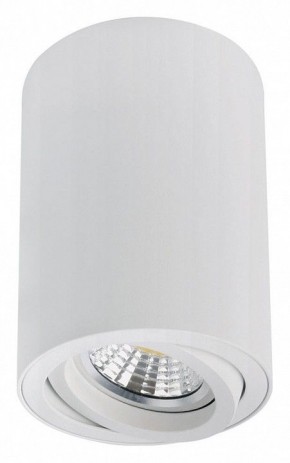 Накладной светильник Arte Lamp Sentry A1566PL-1WH в Нягани - nyagan.ok-mebel.com | фото