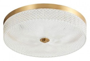 Накладной светильник Arti Lampadari Viro Viro L 1.13.35x7 G в Нягани - nyagan.ok-mebel.com | фото