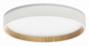 Накладной светильник Citilux Etalon CL750240 в Нягани - nyagan.ok-mebel.com | фото
