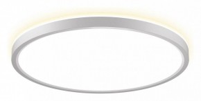 Накладной светильник Citilux NORMA CL748320 в Нягани - nyagan.ok-mebel.com | фото