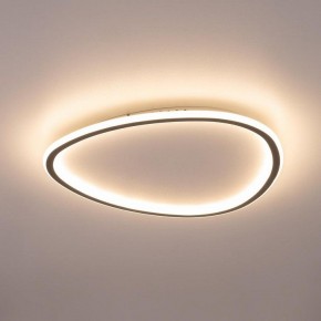 Накладной светильник Citilux ТRIO CL215B251E в Нягани - nyagan.ok-mebel.com | фото 9