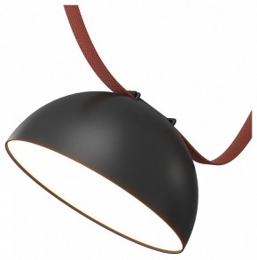 Накладной светильник Denkirs Belty Flow DK5660-BK в Нягани - nyagan.ok-mebel.com | фото