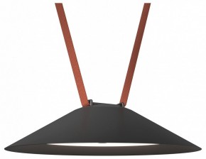 Накладной светильник Denkirs Belty Flow DK5664-BK в Нягани - nyagan.ok-mebel.com | фото