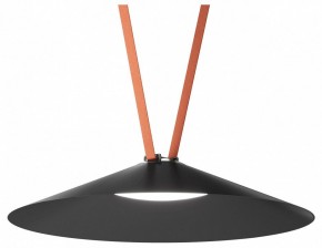 Накладной светильник Denkirs Belty Flow DK5668-BK в Нягани - nyagan.ok-mebel.com | фото