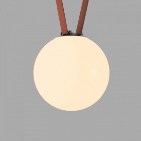 Накладной светильник Denkirs Belty Orb DK5555-BK в Нягани - nyagan.ok-mebel.com | фото 2