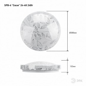 Накладной светильник Эра Классик SPB-6-24-4K (C) в Нягани - nyagan.ok-mebel.com | фото 6