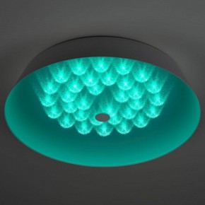 Накладной светильник Эра  SPB-6-60-RC Locus RGB в Нягани - nyagan.ok-mebel.com | фото 8