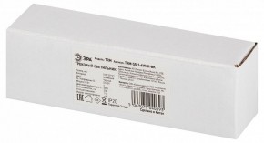 Накладной светильник Эра  TRM-S5-1-6W4K-BK в Нягани - nyagan.ok-mebel.com | фото 6