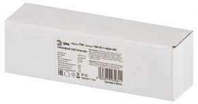 Накладной светильник Эра  TRM-S5-1-6W4K-WH в Нягани - nyagan.ok-mebel.com | фото 6