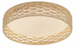 Накладной светильник F-promo Conrad 4749-4C в Нягани - nyagan.ok-mebel.com | фото 2