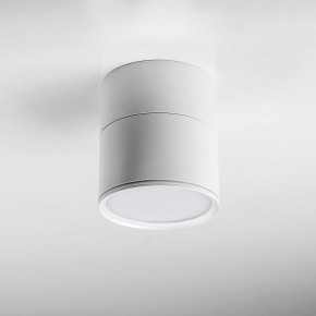 Накладной светильник Lightstar Acuto 215886 в Нягани - nyagan.ok-mebel.com | фото 3