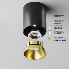 Накладной светильник Maytoni Alfa LED C064CL-12W4K-RD-B в Нягани - nyagan.ok-mebel.com | фото 3