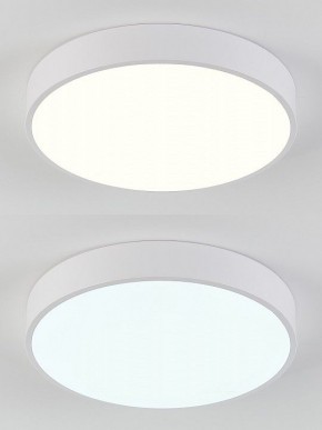Накладной светильник Natali Kovaltseva  LED LAMPS 81111/5C в Нягани - nyagan.ok-mebel.com | фото 4